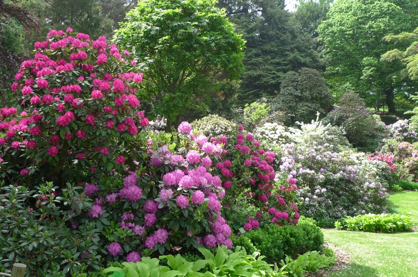 University of Wrocław Botanical Garden, Poland